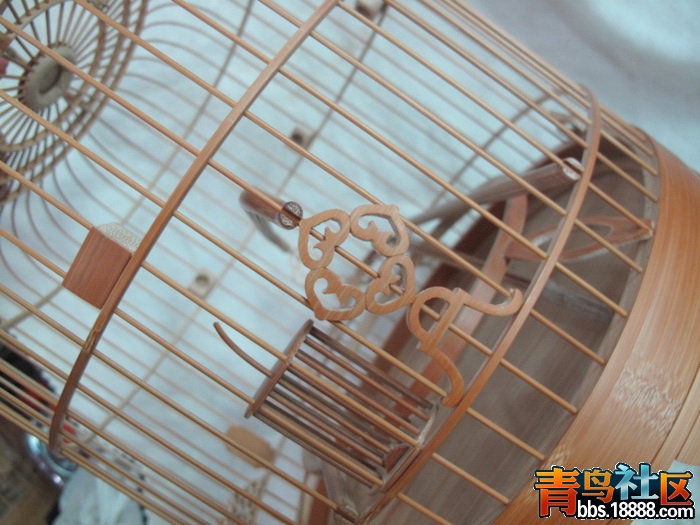 照片 065_调整大小.jpg