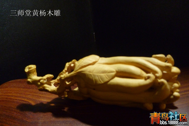 P1040258_副本.jpg