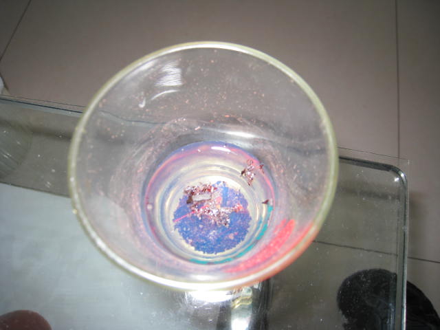 照片 002.jpg