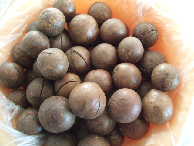 DSCF8682.JPG