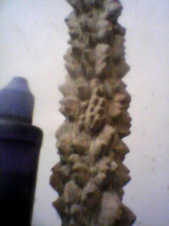 20130108_1321_0.jpg