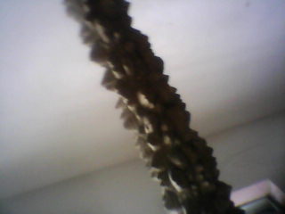 20130108_1322_0.jpg
