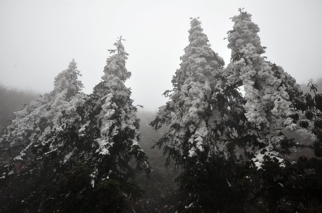 DSC_0172.JPG