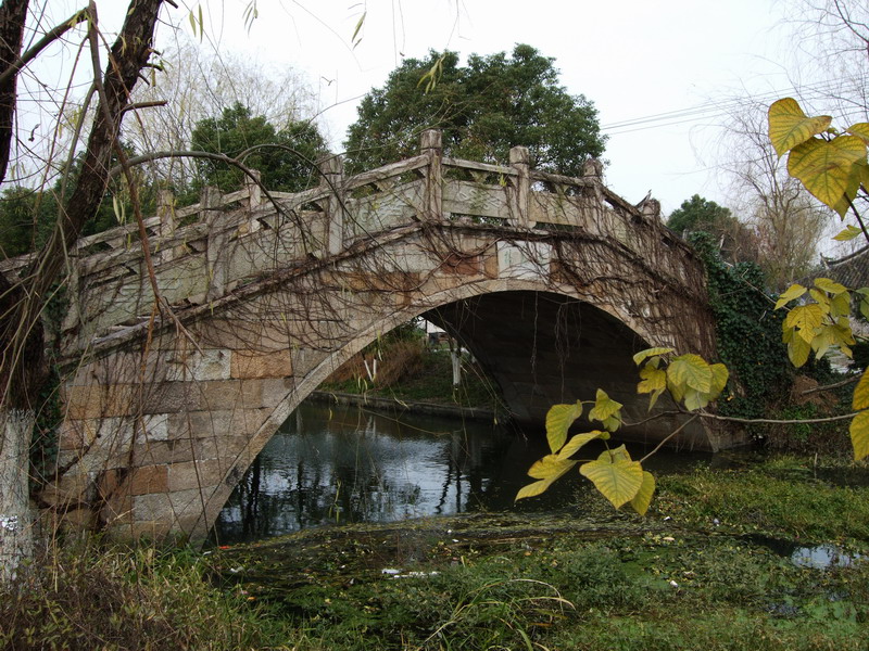 DSCF4470.jpg
