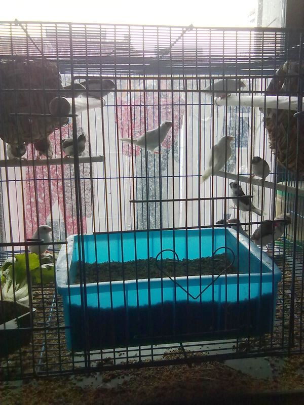 201212301173.jpg