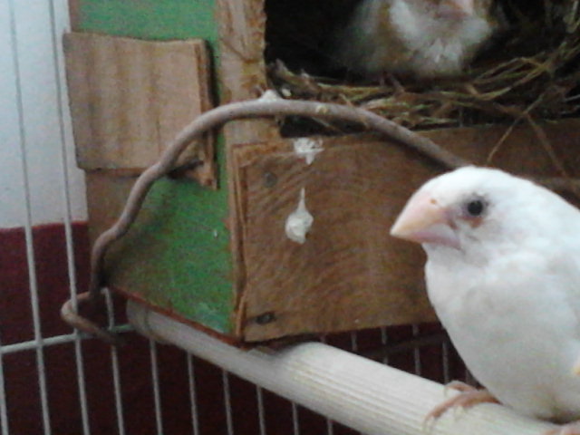 Camera_20130122_115324.jpg