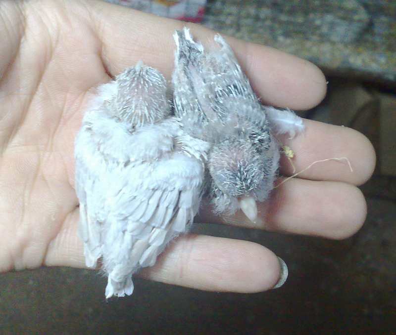 201301166941.jpg