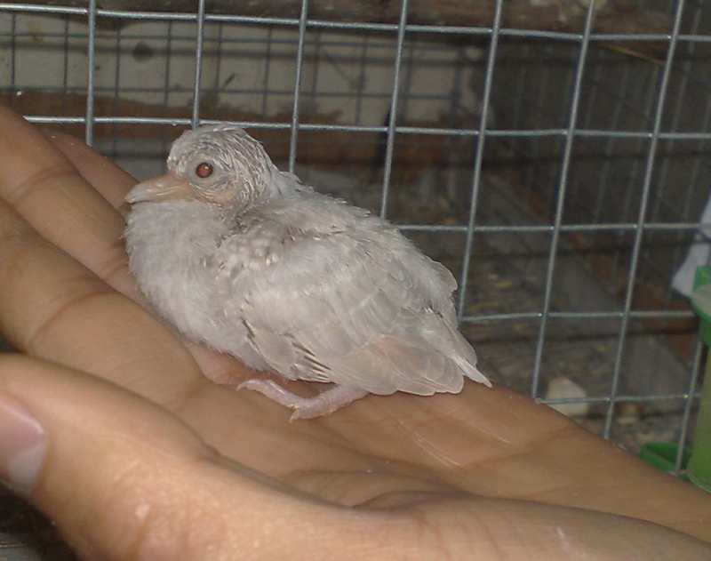 201301176962.jpg
