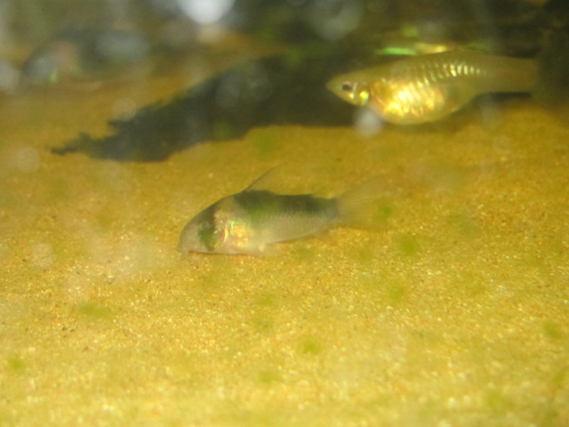 IMG_2578.jpg