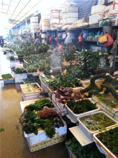 20130127_101006.jpg