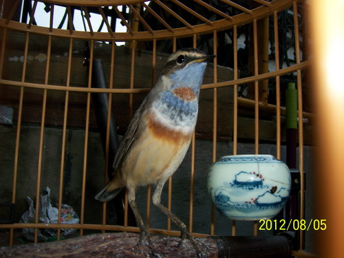 100_1546_缩小大小.jpg
