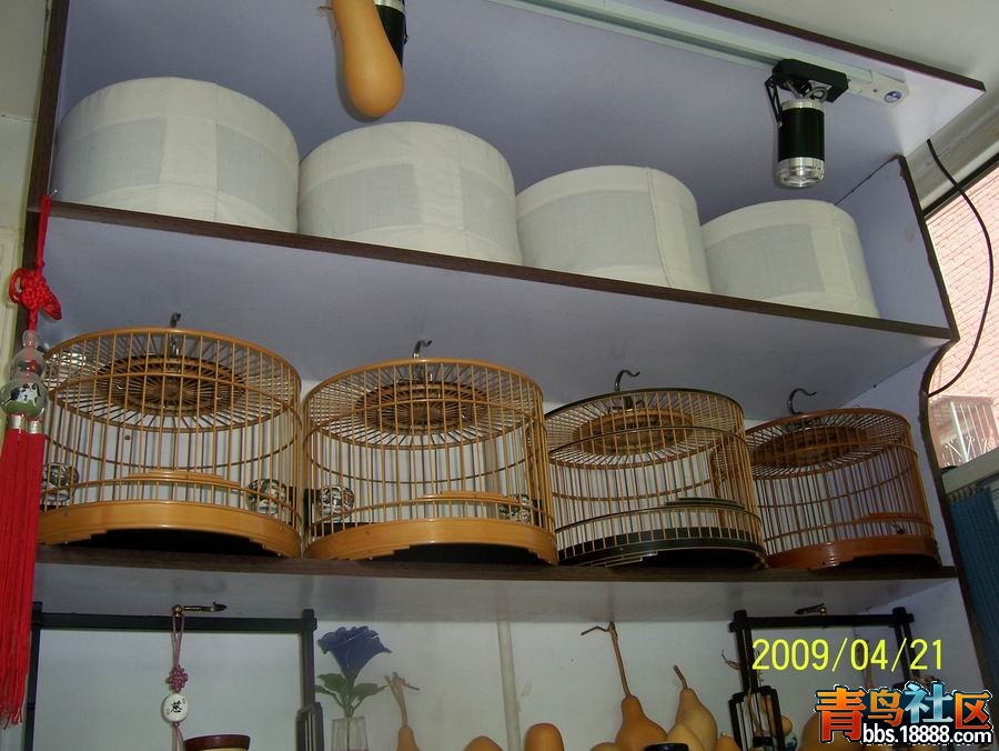 100_8604.jpg