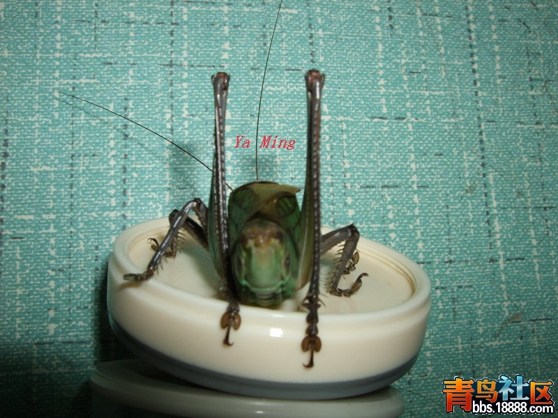 DSCF4760.jpg