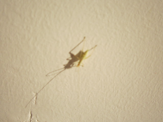照片 558.jpg