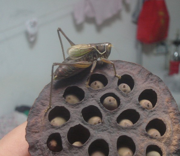 未命名6.jpg