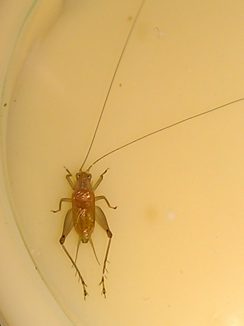 360_2013012010383200_IMAG0923.jpg