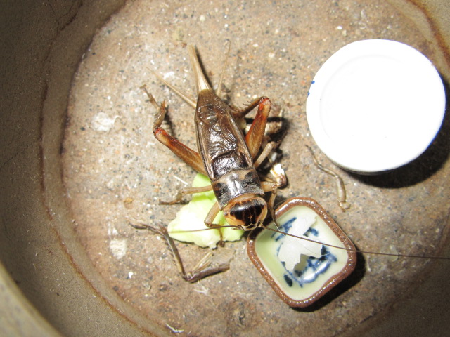 IMG_2477.jpg