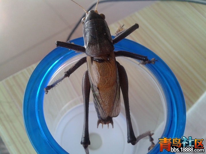 20130103_121435.jpg