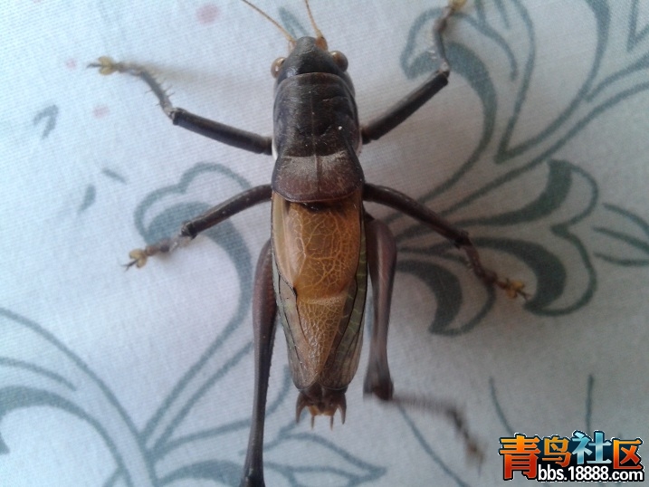 20130103_121515.jpg