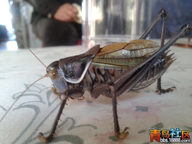 20130103_121537.jpg