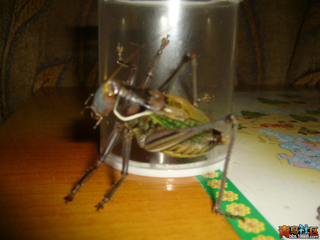 P1050756.JPG