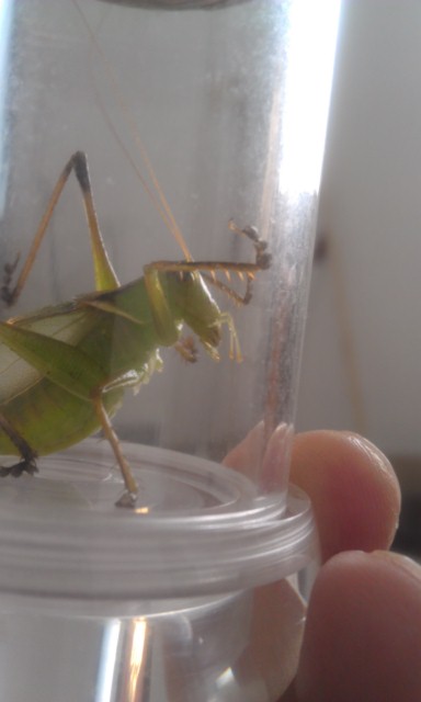 IMAG0206.jpg