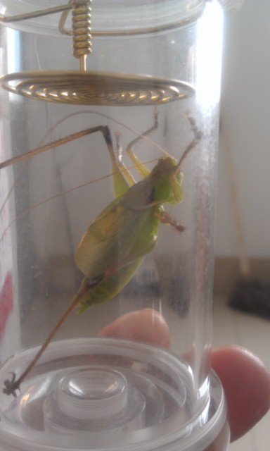 IMAG0197.jpg