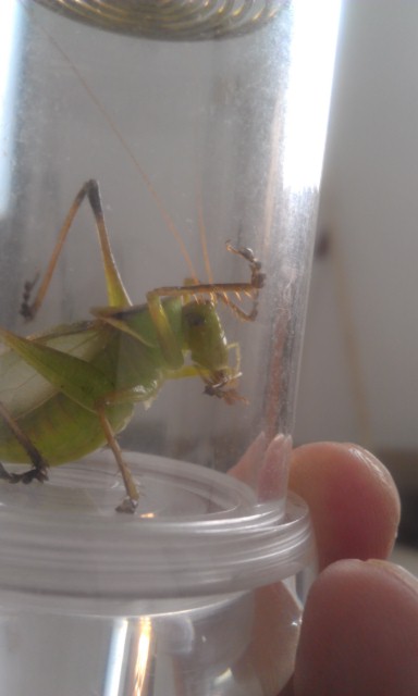 IMAG0205.jpg