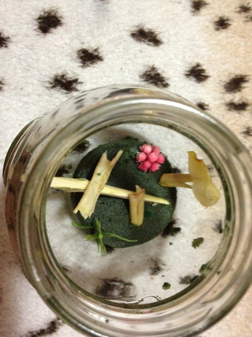 未命名5_副本.jpg