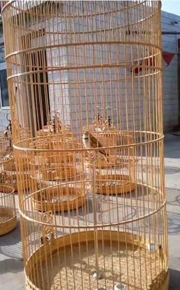 未命名5.jpg