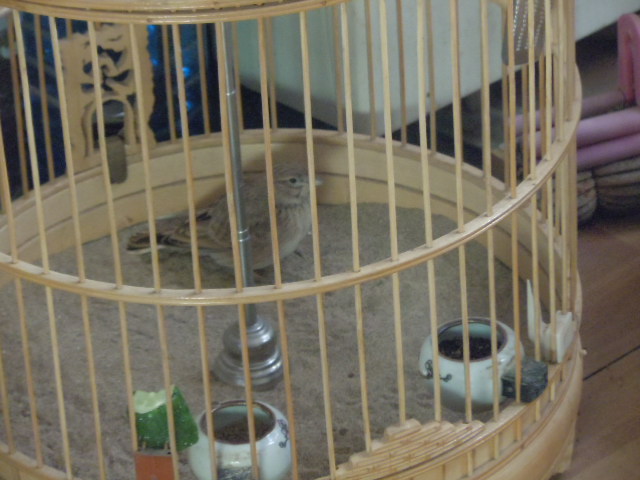 DSCN3029.JPG