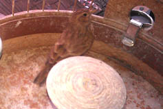 IMAG0669.jpg