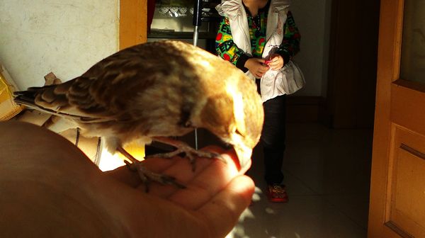 nEO_IMG_2013-01-12-604.jpg