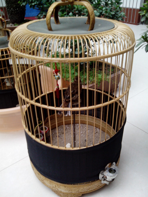 DSC_0037_meitu_1.jpg