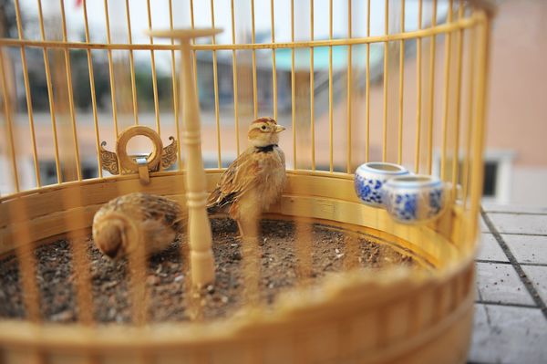 nEO_IMG_DSC_8711.jpg