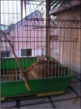 QQ截图20130123124927.jpg