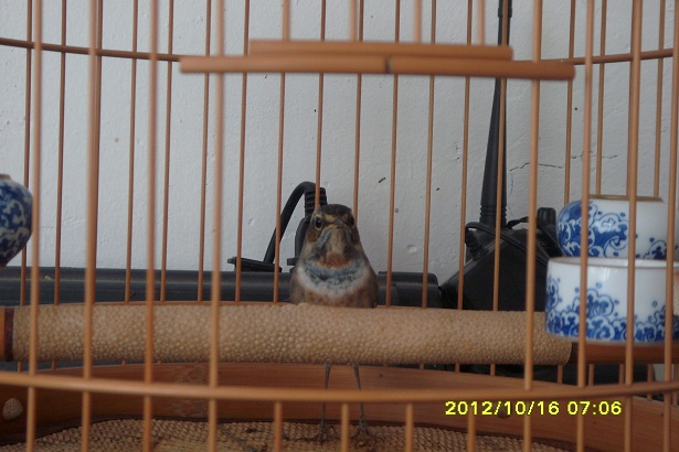S73R0174.JPG