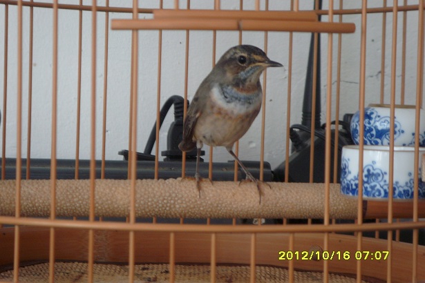 S73R0177.JPG