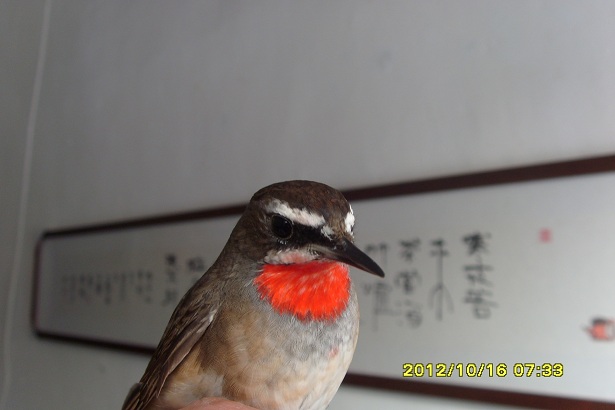 S73R0224.JPG