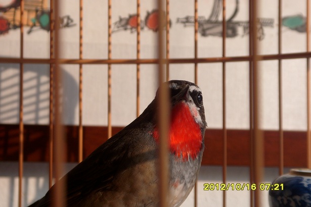 S73R0201.JPG