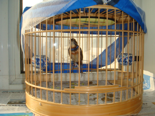 DSC01378.JPG
