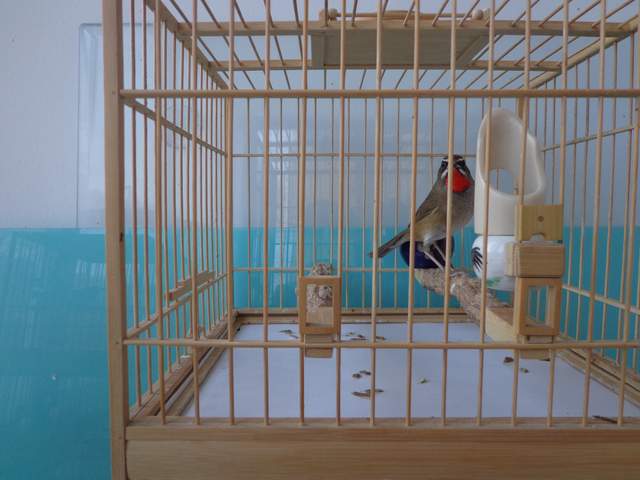 DSC00774.JPG