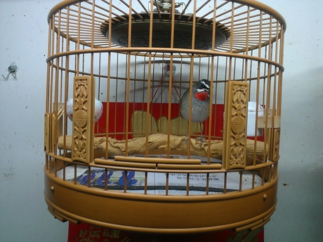 WP_001634.jpg