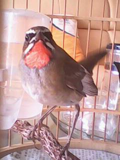 IMG0586A.jpg