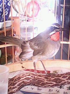 IMG0575A.jpg