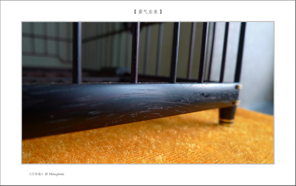 nEO_IMG_L1120887.jpg