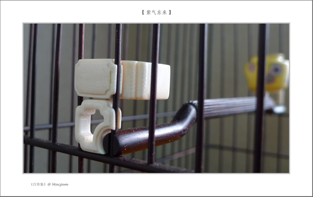 nEO_IMG_L1120893.jpg