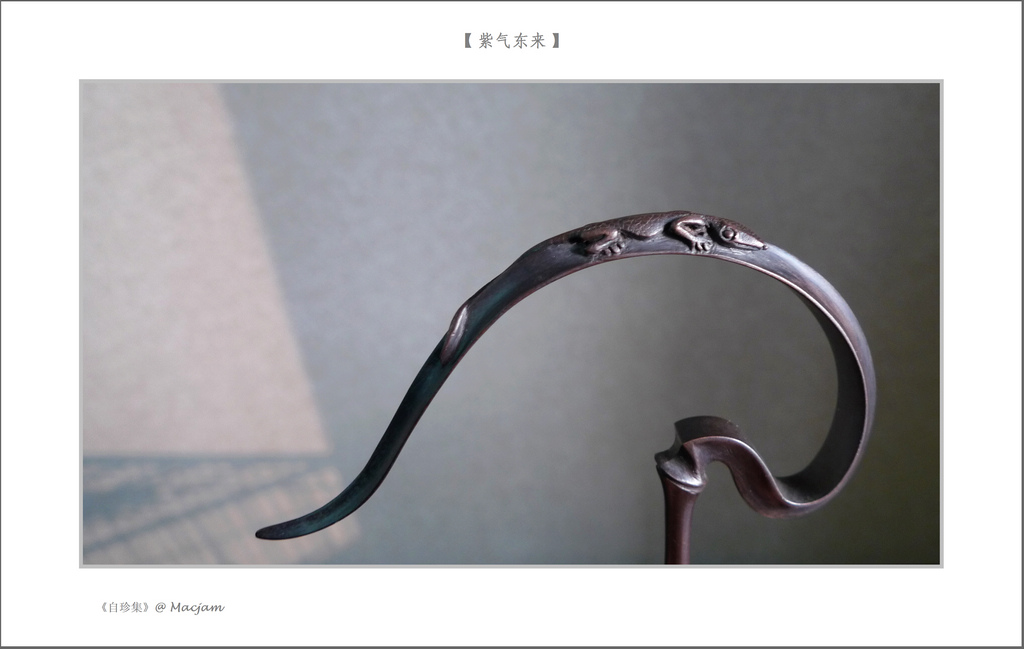 nEO_IMG_L1120904.jpg