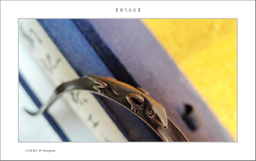 nEO_IMG_L1120927.jpg