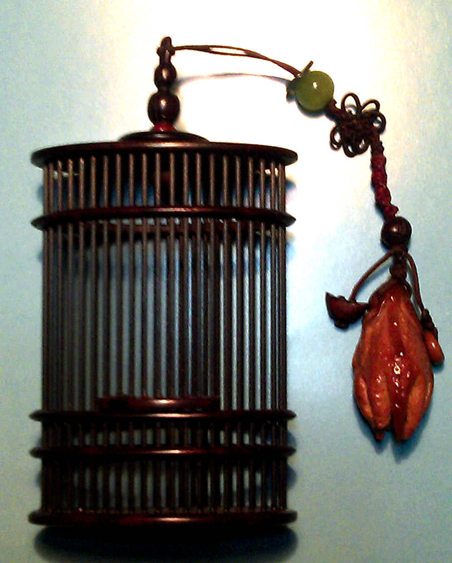 IMAG0198.jpg